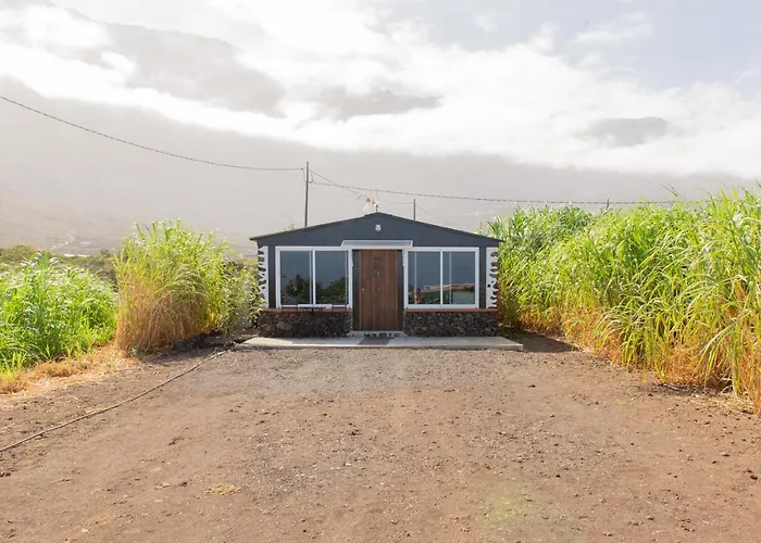 Beautiful Coastal House On A Tranquil Organic Farm